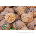 reliable high quality low price Chinese Walnut Kernels